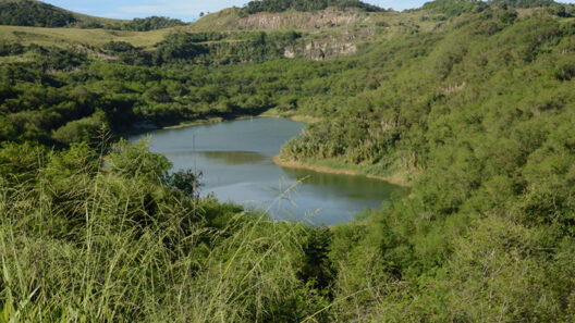 Parque Paleontológico de Itaboraí - (Foto Edmilson Domingos)